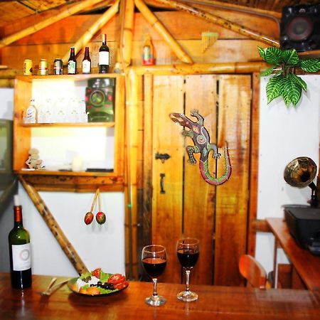 Ecolodge Puente Explanacion Salento Exterior foto